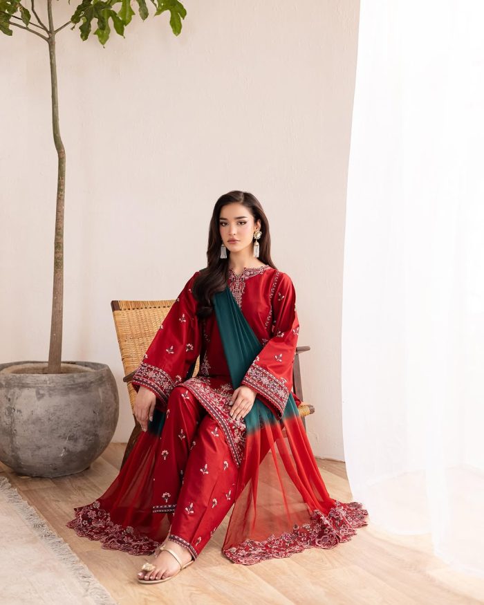 Luxury Embroidered Most Demanding Dress - Image 4