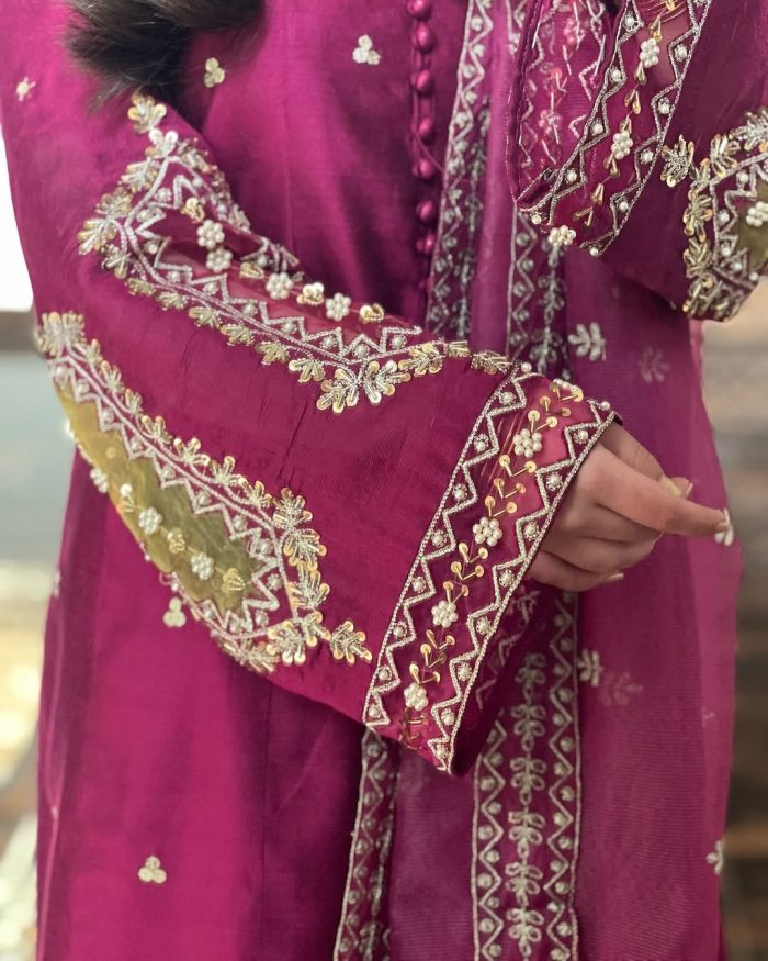 Luxury Embroidered Fancy Three pices Collection - Image 4